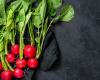 See how to plant radish and the vitamins present that strengthen health