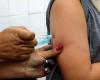 Palmas expands vaccination against dengue