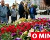 Braga challenges residents and traders to decorate the streets of the center with flowers
