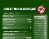 Dengue Bulletin – 5/2/2024 – Blumenau City Hall
