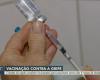 Find out which cities in the Campinas region have expanded flu vaccination to the general public | Campinas and Region