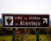 Alentejo wine tourism grows 27% in 2023