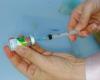 Aracaju expands flu vaccination for people over 6 months of age starting this Thursday | Sergipe