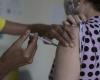 Without reaching the target, cities in the Piracicaba region follow the Ministry of Health and expand flu vaccination | Piracicaba and Region