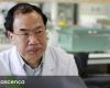 China. Scientist who decoded Covid-19 can now return to his laboratory