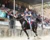 Horse racing in Lamego with prizes of 1500 euros