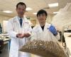 Study turns beer pomace into “nutritional gold”