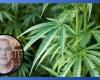 Today’s ‘power’ marijuana requires legalization, says study