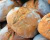 Should we freeze bread? – ZAP News