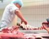 Butcher knife accident generates market liability, says TST