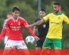 Benfica BP. Ferreira, 2-2: the reds miss a victory in stoppage time – 2nd League