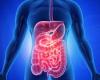 Bowel cancer symptoms: how to identify the disease