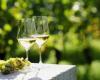 XIII Vinho Verde Wine Meetings on the 10th and 11th of May in Viana do Castelo