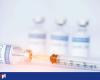 New vaccine may be effective against coronaviruses that have not yet emerged | Health