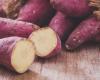 Does sweet potato help you lose weight? See 6 benefits of food
