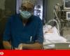 Portugal is the European Union country with the highest incidence of hospital infections | Health