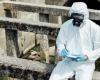 There will be a new pandemic, we just don’t know how it will come or from where | Drauzio Varella