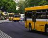 PAN defends reformulation of public transport in Madeira