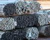 Brussels gives ‘green light’ to the purchase of US Steel by Japan’s Nippon Steel