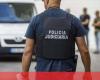 Madeira: PJ arrests five people for travel subsidy fraud scheme – Portugal