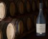 Casa de Santar Oito Parcelas receives “Big Gold” – In the ViniPortugal wine competition – Gastronomy