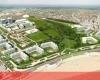 “An authentic environmental crime”: Luxury houses will occupy forest area in Carcavelos – Society