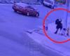 USA. Woman chases thief and causes accident to recover stolen suitcase