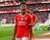 Benfica expects income of 50 million with Morato and David Neres