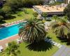 Lisbon Marriott Hotel suggests a pool and brunch program