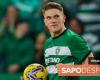 Sporting will try to convince Gyokeres to stay: salary increase and termination clause on the table – I Liga