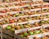 Tomatoes become 18.27% more expensive and drive up the price of basic food baskets in Petrolina in April | Petrolina and Region