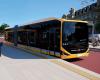 Metrobus goes to schools on Europe Day