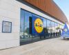 From 1.49 euros, Lidl will offer delicacies from one of the best and most famous cuisines in the world