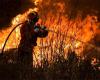 United Nations recognizes Portugal as an example in rural fire management