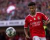 David Neres with an open future at Benfica