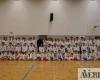 Marco de Canaveses Karate School organizes the traditional Annual Internship