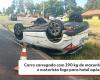 Car loaded with 290 kg of marijuana overturns and driver flees to hotel after accident | Campos Gerais and South