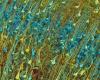 Images reveal, in detail, a single cubic millimeter of the human brain; see | Technology