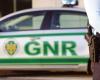 GNR is looking for a septuagenarian who allegedly shot his nephew