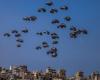 After 21 deaths, Hamas calls for aid airdrops to stop