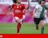 Benfica and Sporting fighting for the title until the end | Women’s football