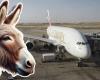 NGO celebrates Emirates’ decision to ban the transport of donkey skins on its aircraft