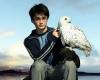 Harry Potter series could solve 25-year-old mystery