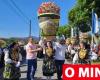 Giant baskets of flowers returned to the streets of Vila Franca