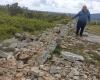 Jornal de Leiria – People are stealing stone from traditional walls in Serra de Aire