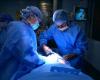 First patient to receive pig kidney transplant dies two months after surgery in the USA | Health